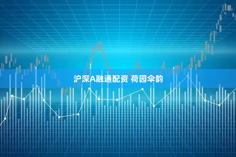 沪深A融通配资 荷园伞韵