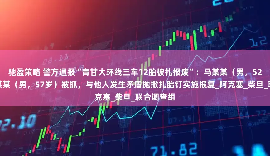 驰盈策略 警方通报“青甘大环线三车12胎被扎报废”：马某某（男，52岁）、李某某（男，57岁）被抓，与他人发生矛盾抛撒扎胎钉实施报复_阿克塞_柴旦_联合调查组