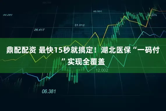 鼎配配资 最快15秒就搞定！湖北医保“一码付”实现全覆盖