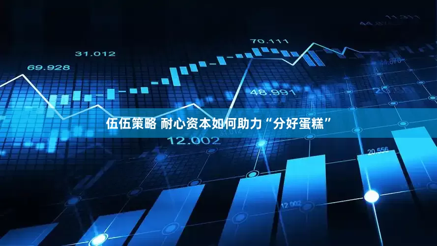 伍伍策略 耐心资本如何助力“分好蛋糕”